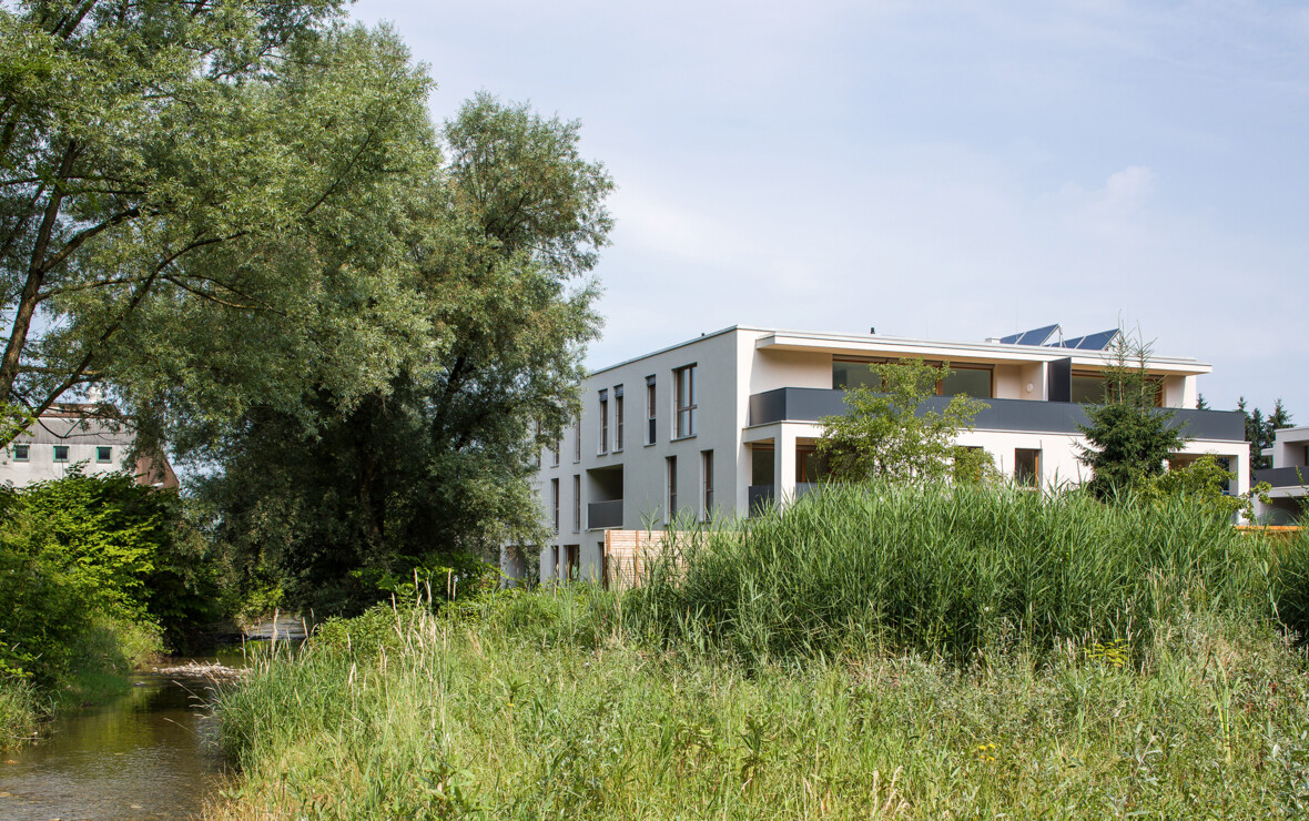 150714Kehlerau_CRwalser_027 150714Kehlerau_CRwalser_027