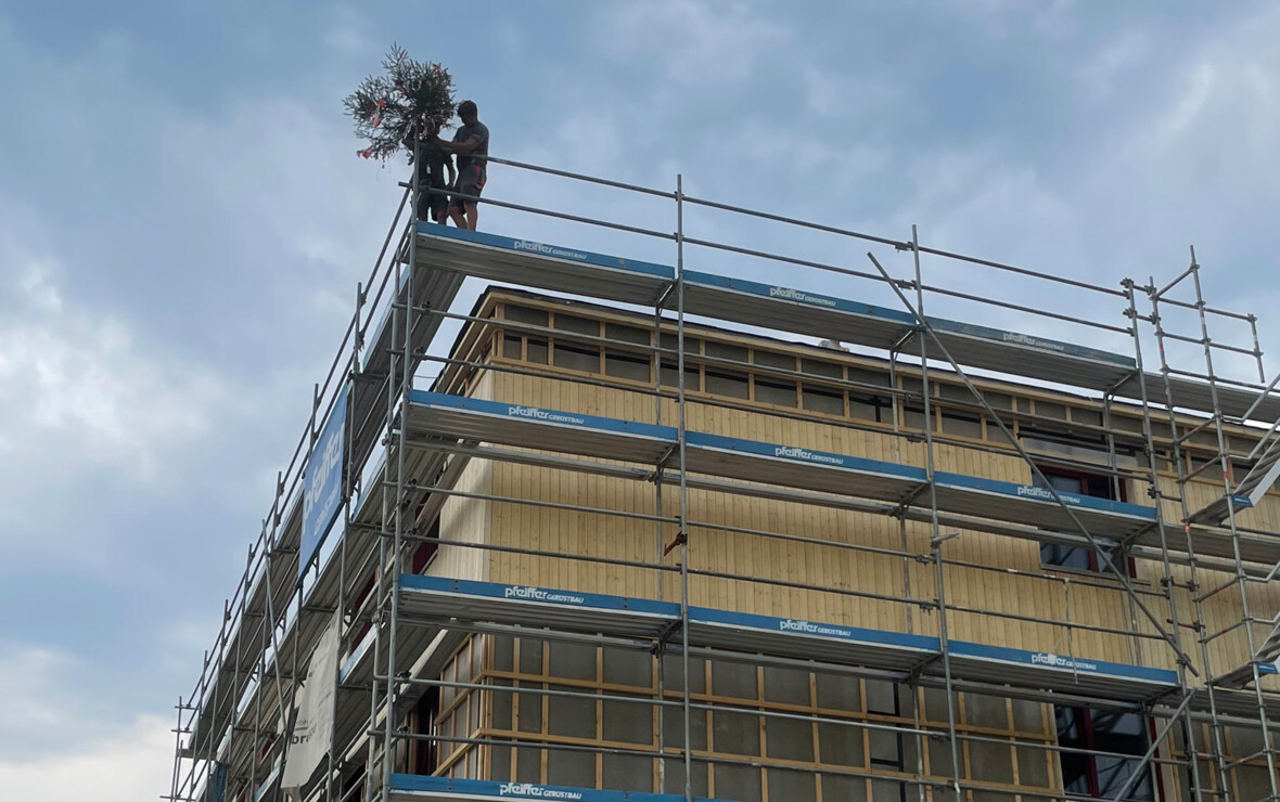 Holz auf Holz: Zwei Zimmerer von Sutter Holzbau beim Stellen des Firstbaums für den Neubau in der Neubaugasse, Lauterach. Darunter ist die Holzfassade sehr gut zu erkennen, die aktuell montiert wird.
Holz auf Holz: Zwei Zimmerer von Sutter Holzbau beim Stellen des Firstbaums für den Neubau in der Neubaugasse, Lauterach. Darunter ist die Holzfassade sehr gut zu erkennen, die aktuell montiert wird.