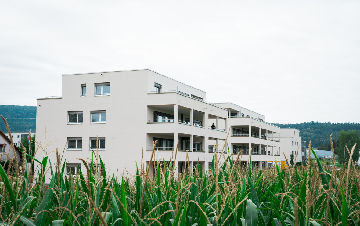 Wohnüberbauung "Am Seltenbach", Neunkirch Wohnüberbauung "Am Seltenbach", Neunkirch