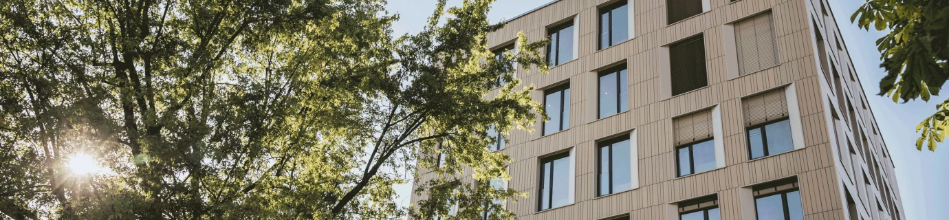 Bärahus Gebäude in Feldkirch, Vorarlberg, mit moderner Holzfassade und vielen Fenstern. Ein grüner Baum mit Sonnenschein ist im Vordergrund zu sehen (Holzbau).