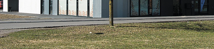 Bürohaus QUADRA Dornbirn Aussenansicht mit Baum