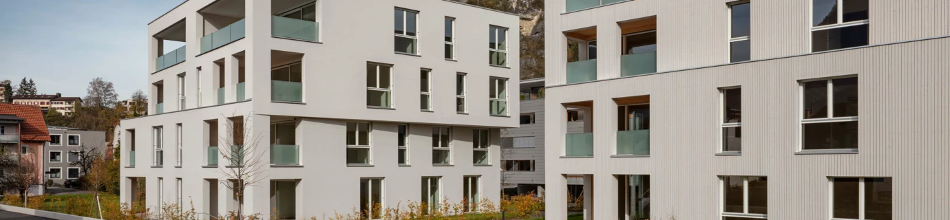 Wohnanlage Zürcherstrasse Bludenz Referenz