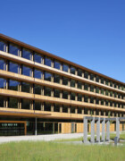 Project Business Wood Construction