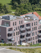 Alpenschimmern