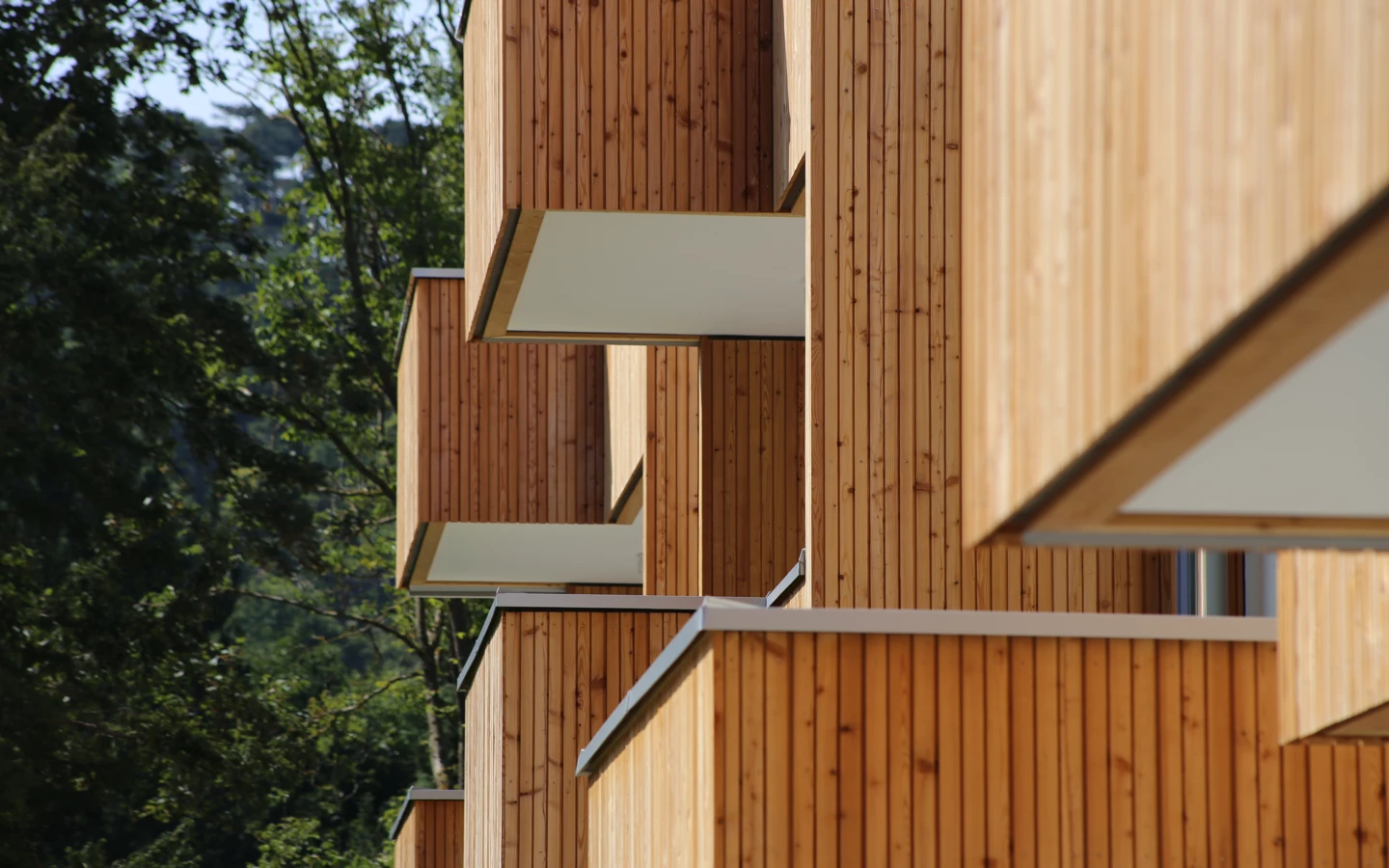 TROY_ALTM (12) Aussenansicht von Holzfassade mit Balkons TROY_ALTM (12) Aussenansicht von Holzfassade mit Balkons