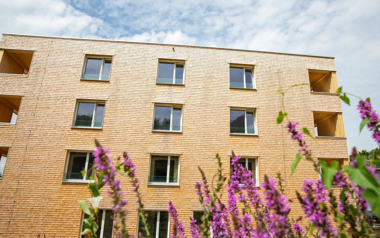 Hellbrunnenstraße (11) Hellbrunnenstraße (11)