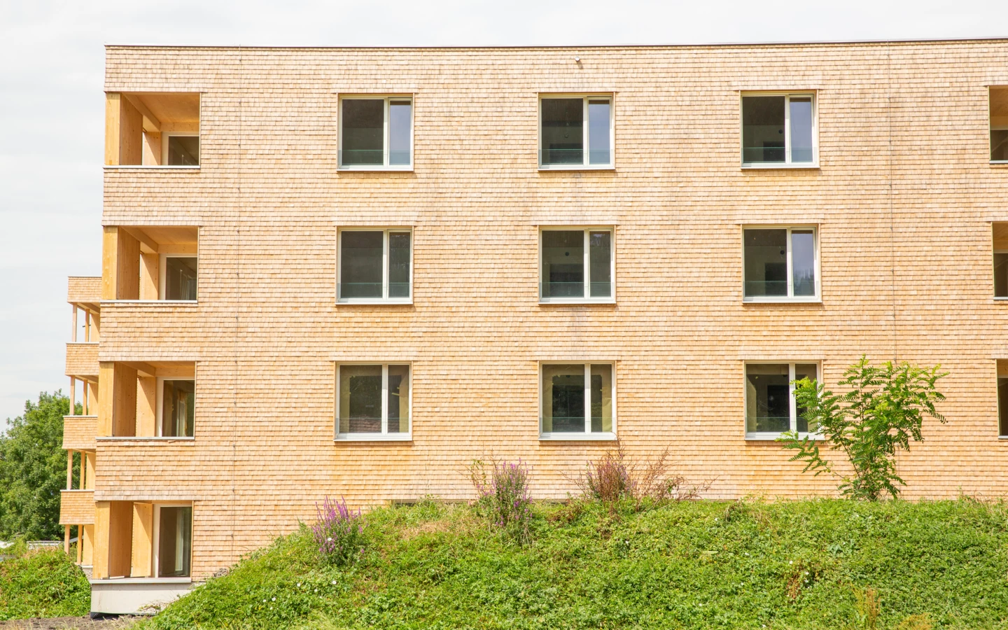 Hellbrunnenstraße (14) Hellbrunnenstraße (14)