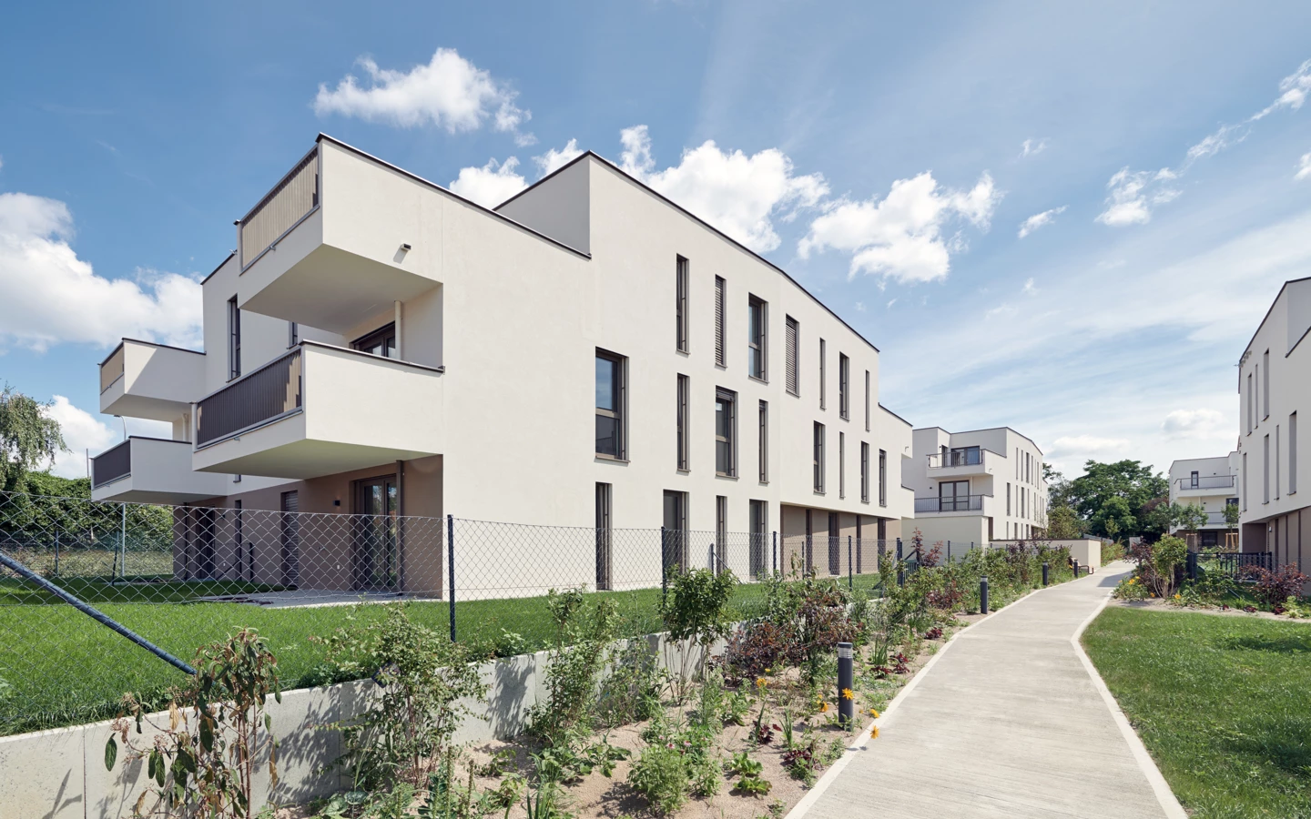 Leovita_1541 Leovita_1541