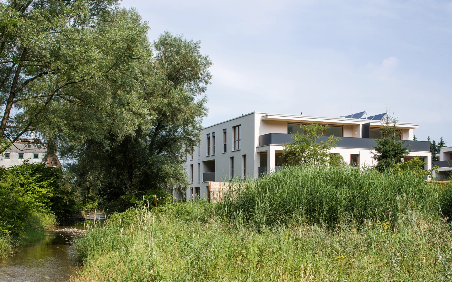 150714Kehlerau_CRwalser_027 150714Kehlerau_CRwalser_027
