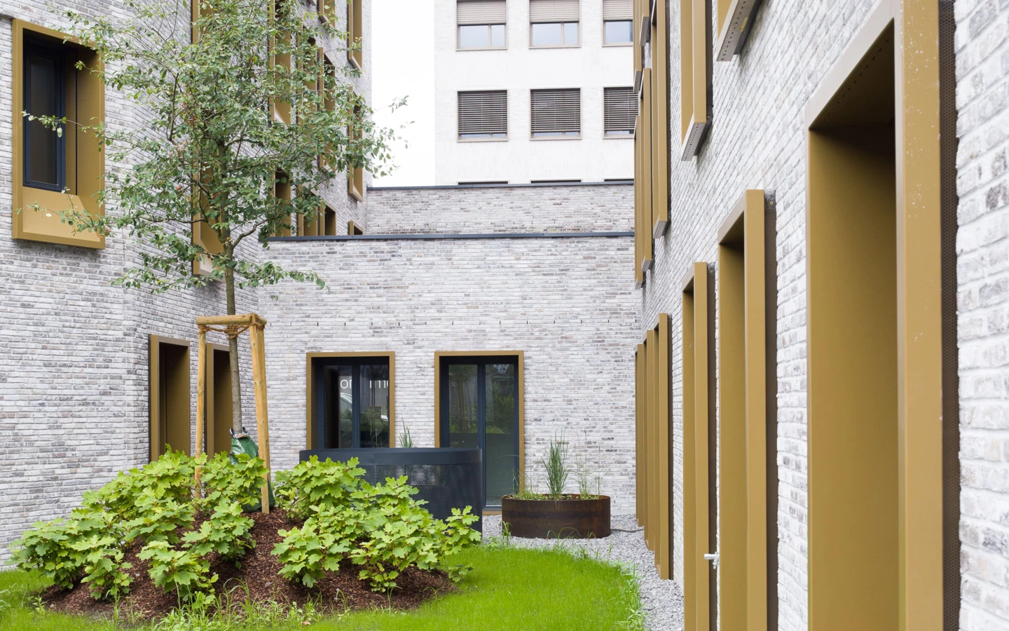 WA Kreuzgasse Ansicht6