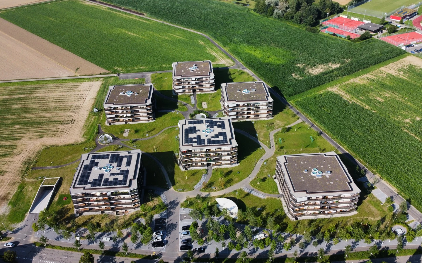 Stein Neumatt Neubau 1 Stein Neumatt Neubau 1