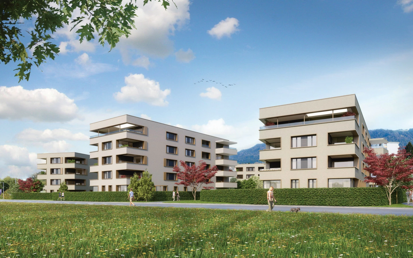 Das Bäumlequartier bietet autofreien Wohngenuss in Seenähe. Das Bäumlequartier bietet autofreien Wohngenuss in Seenähe.