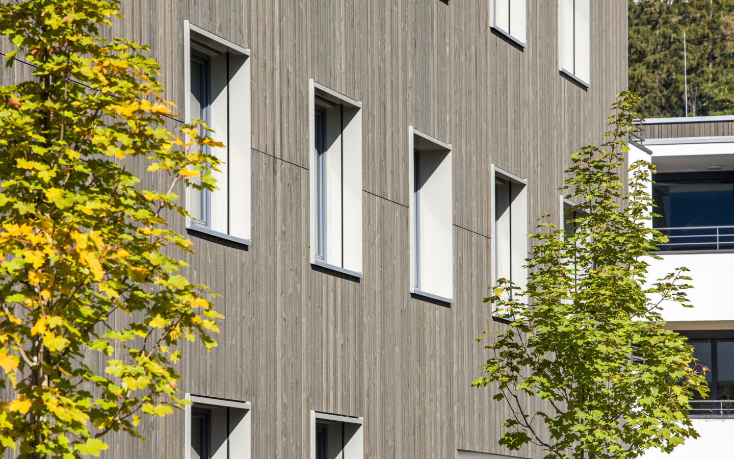 221005WA Walgaustrasse_CRwalser_013 221005WA Walgaustrasse_CRwalser_013