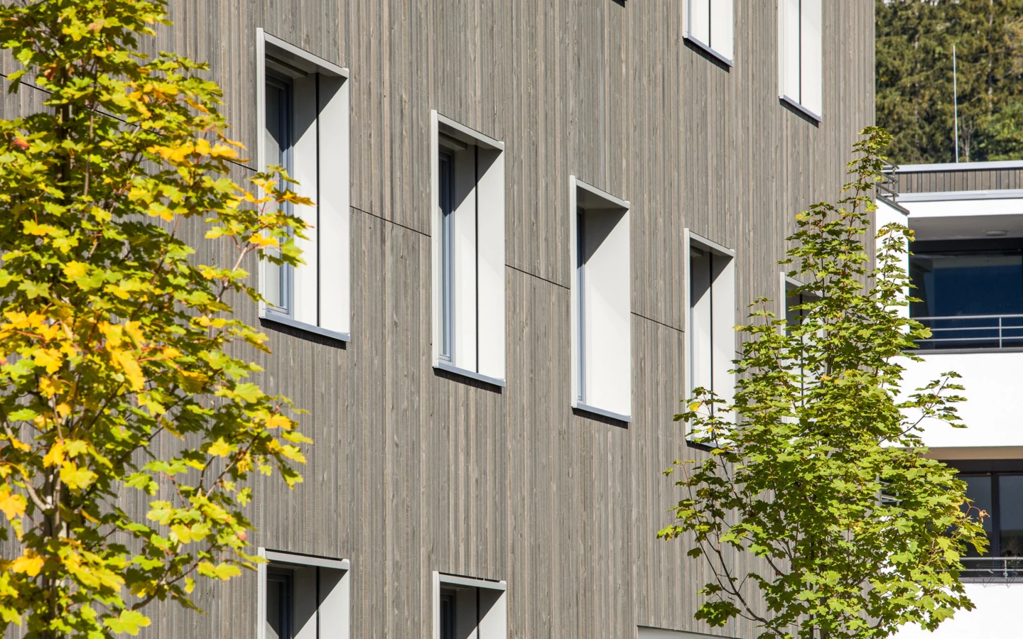 221005WA Walgaustrasse_CRwalser_013 221005WA Walgaustrasse_CRwalser_013
