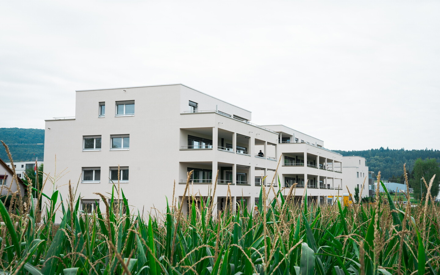 Wohnüberbauung "Am Seltenbach", Neunkirch Wohnüberbauung "Am Seltenbach", Neunkirch