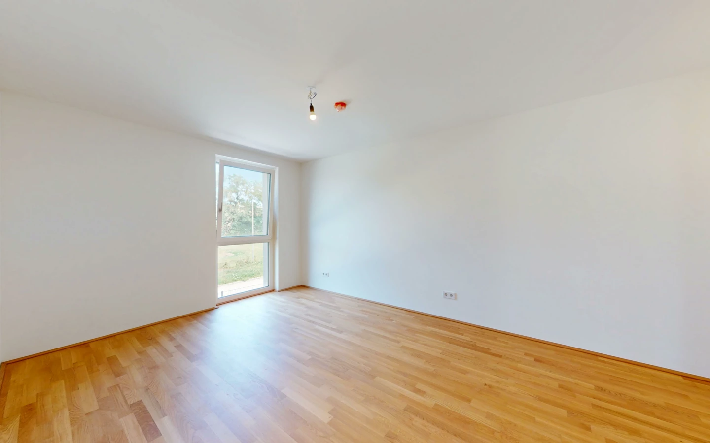 412-Arbeitergasse-08112025_165316 412-Arbeitergasse-08112025_165316