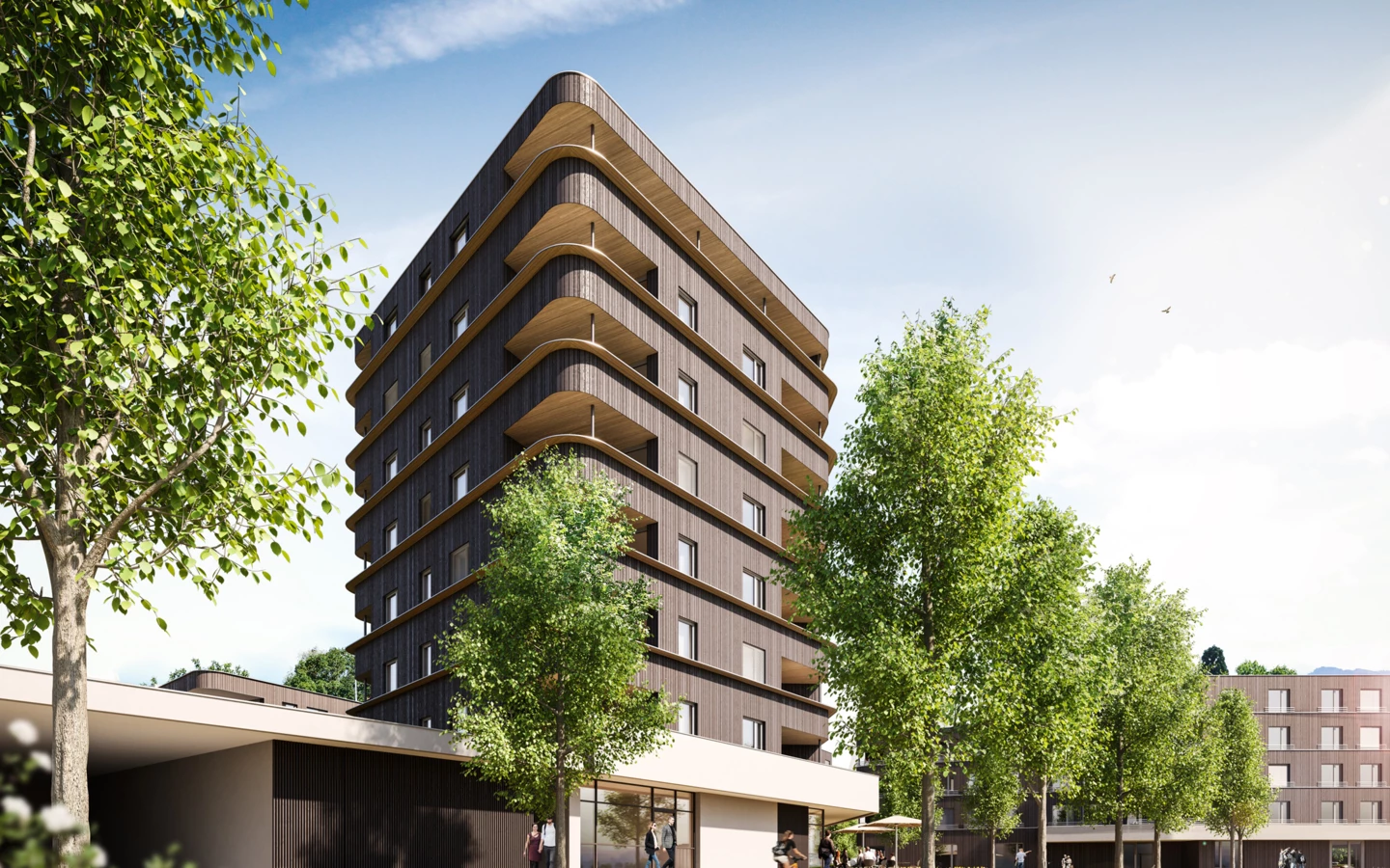Hoch hinaus mit Holz: Für Bauherr Raiba errichtet Rhomberg Bau im Lustenauer Rheindorf auf acht Stockwerken „erstmals einen Holzbau dieser Größe unter wirtschaftlichen Bedingungen“.