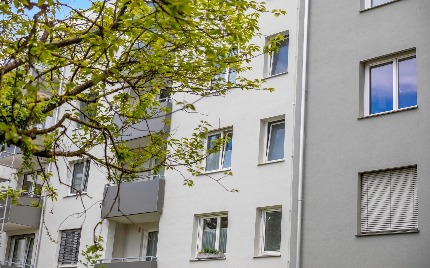 Ansicht nachher