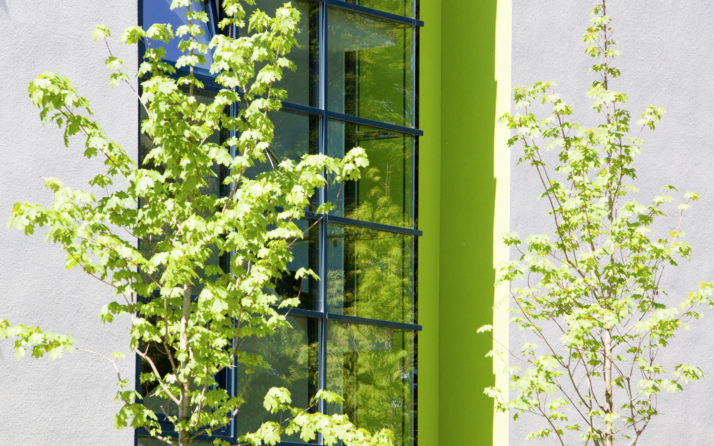 Wohnen an der Ill, Feldkirch