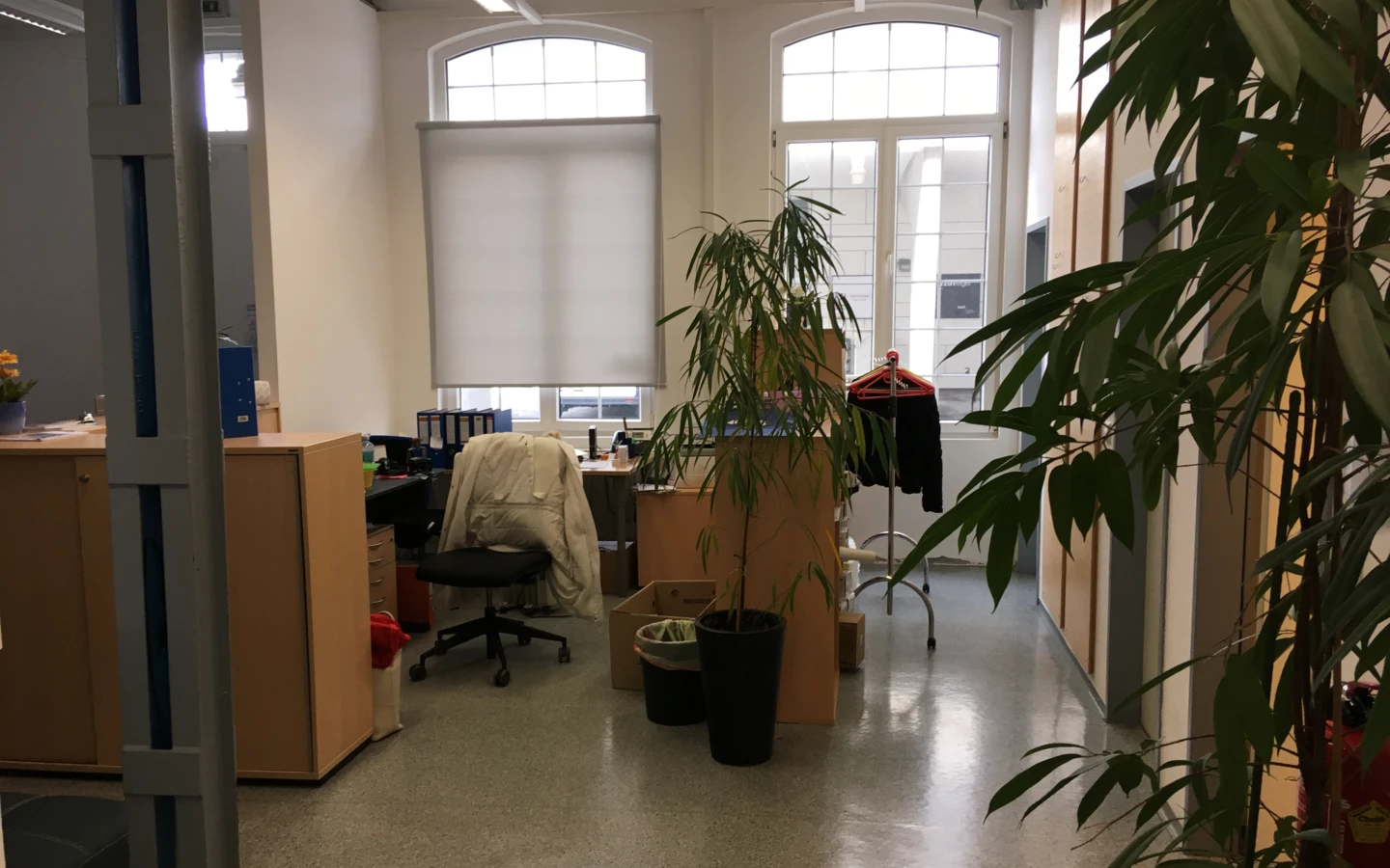 Rhomberg's Fabrik Büro mit Schreibtisch, PC, Fenstern und Pflanzen