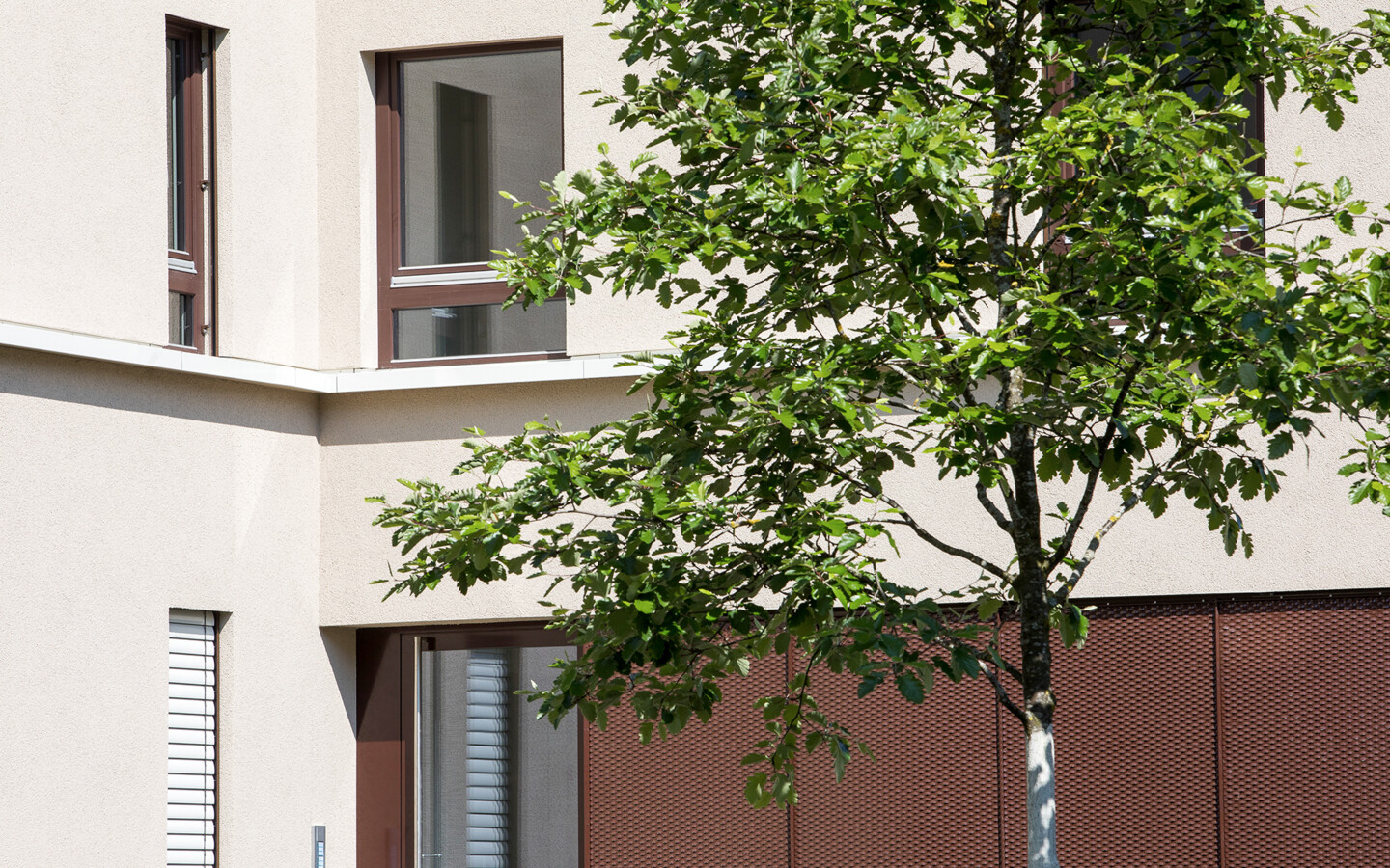 Wohnanlage Heldendankstraße, Bregenz (© Walser) Wohnanlage Heldendankstraße, Bregenz (© Walser)