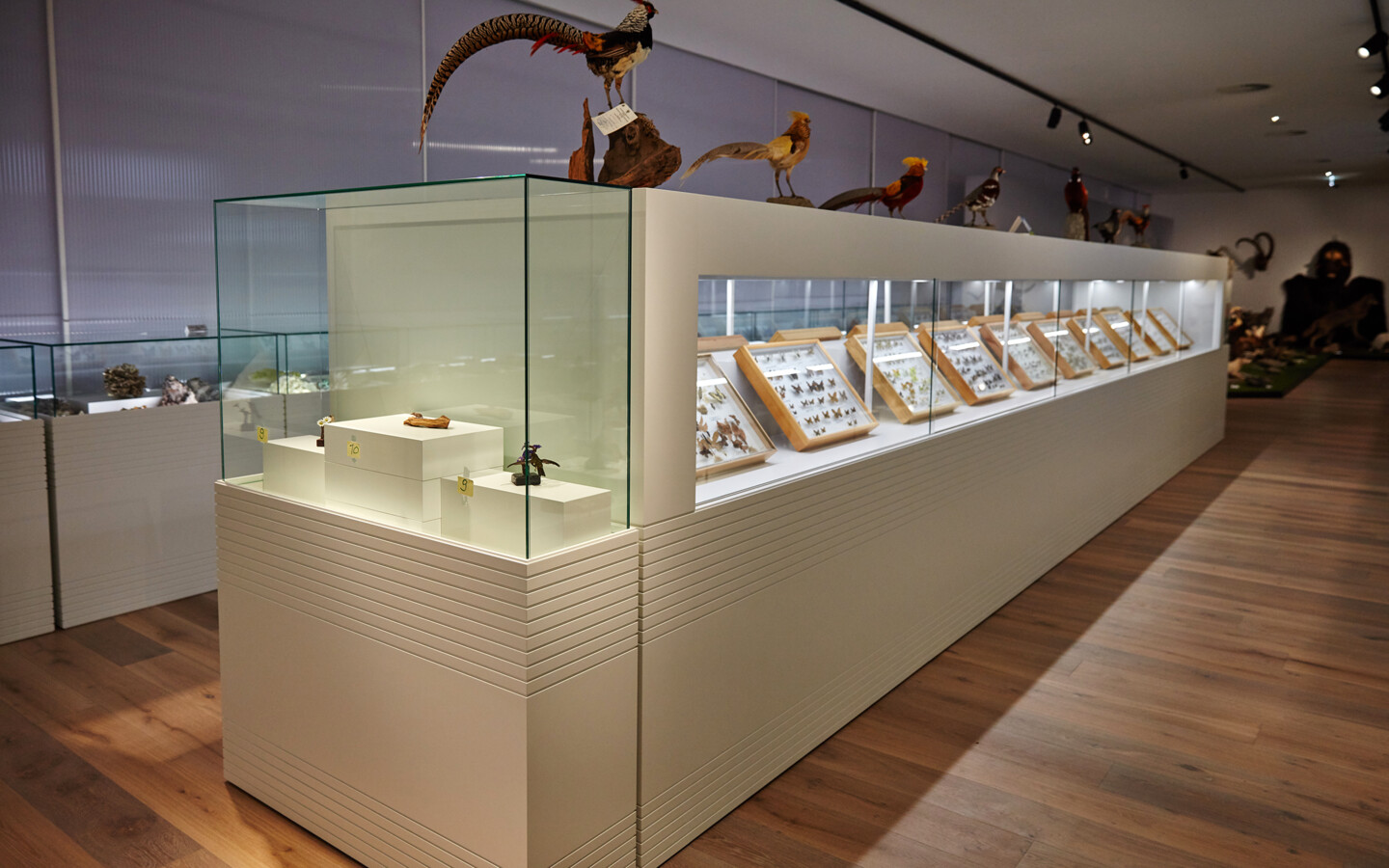 Sammlung Kunst und Kultur Hohenems Sammlung Kunst und Kultur Hohenems