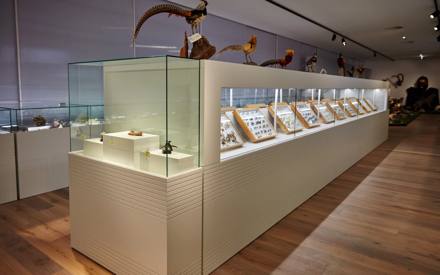 Sammlung Kunst und Kultur Hohenems Sammlung Kunst und Kultur Hohenems