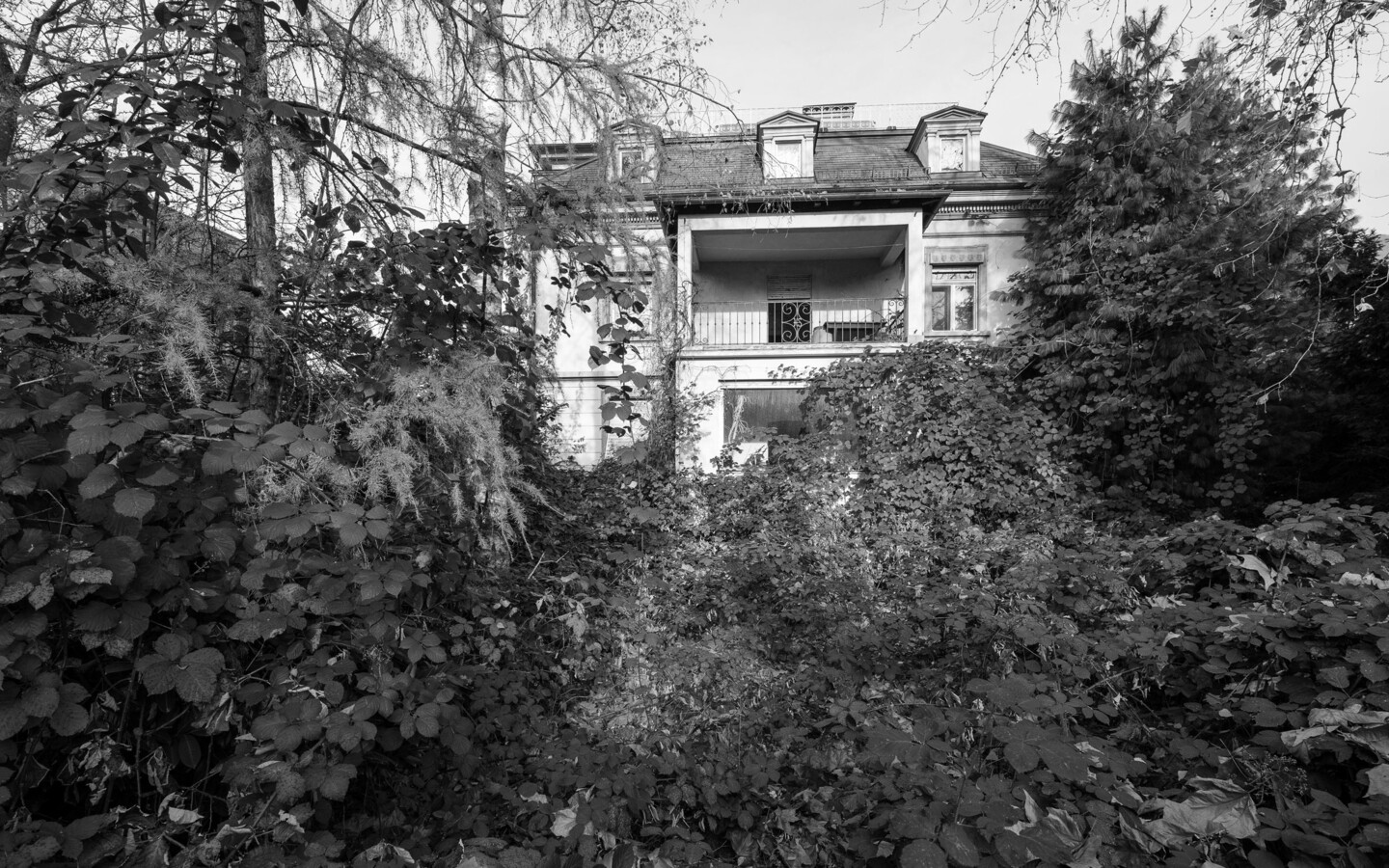191126Villa Reichsstr_CRwalser_001 191126Villa Reichsstr_CRwalser_001