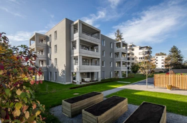 Hilft mit, den Holzbau auf den richtigen Weg zu bringen: das Innovationsprojekt Lerchenstraße in Wolfurt von Rhomberg Bau. 
Quelle: Weissengruber
