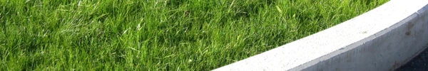 Gartenmauer mit Gras im Hintergrund