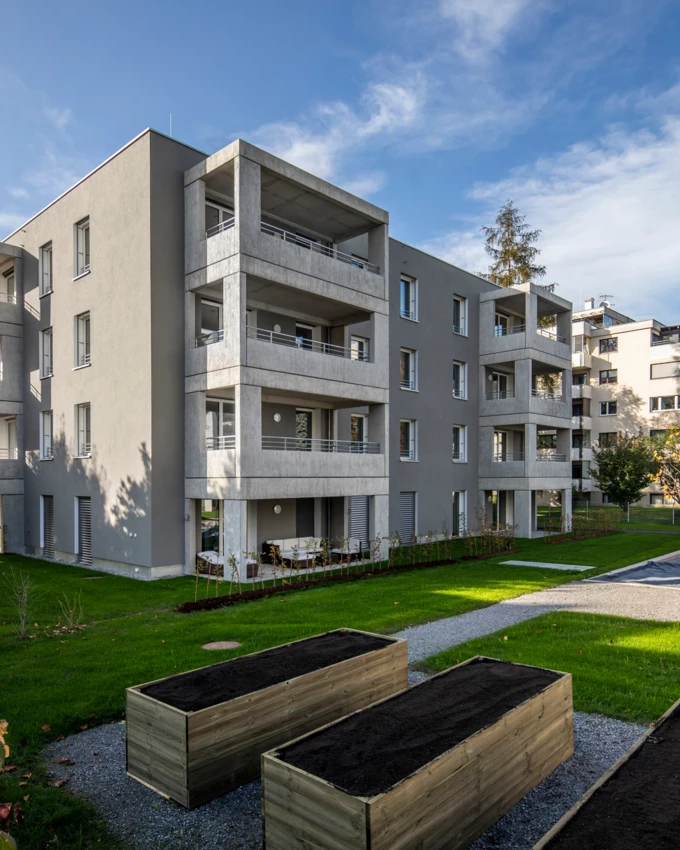 Hilft mit, den Holzbau auf den richtigen Weg zu bringen: das Innovationsprojekt Lerchenstraße in Wolfurt von Rhomberg Bau. 
Quelle: Weissengruber
