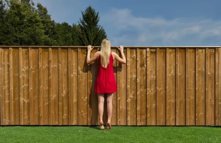Eine Frau in einem roten Kleid späht über einen hohen Holzzaun, im Vordergrund grünes Gras und im Hintergrund Bäume unter blauem Himmel (Grundstücke).