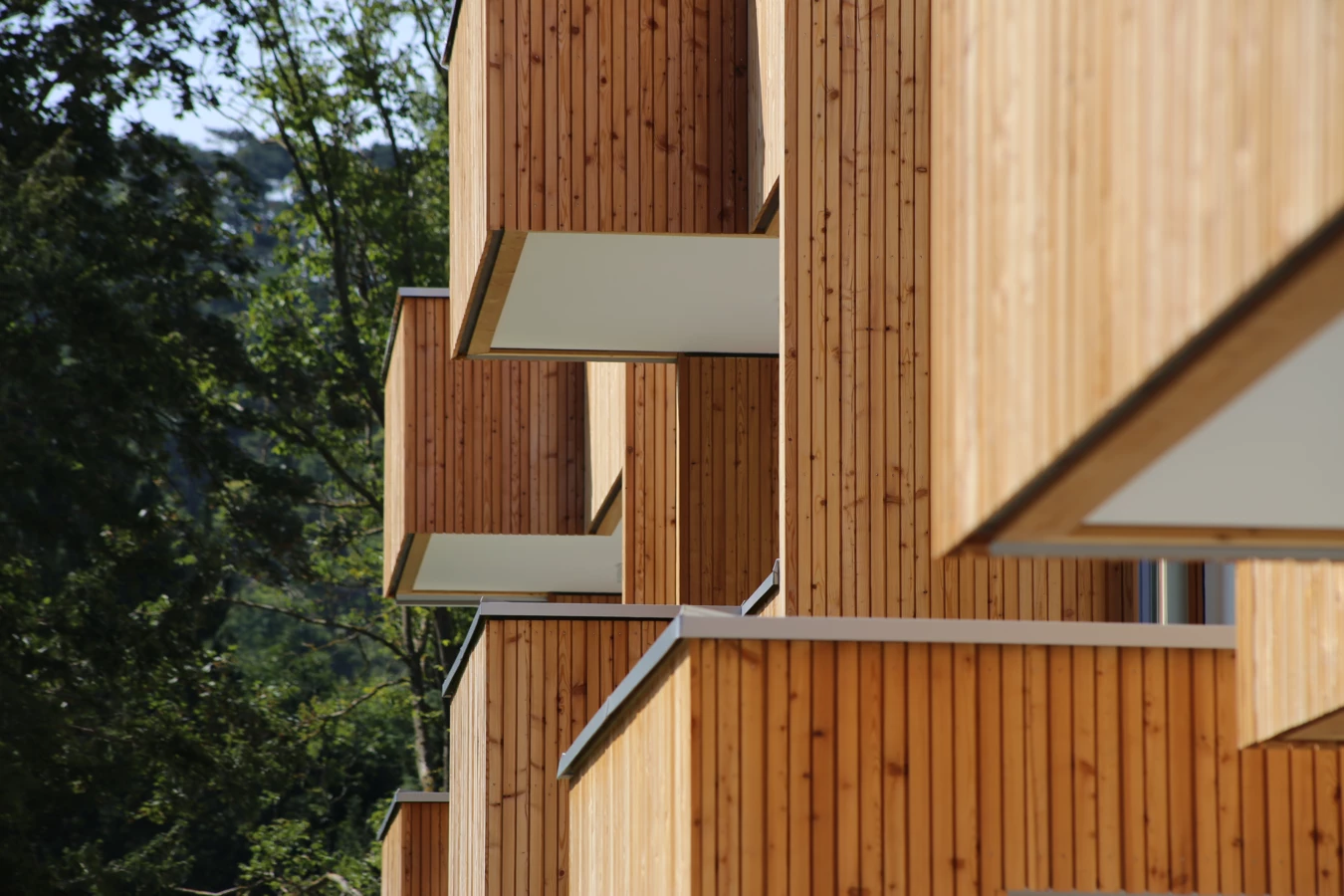 TROY_ALTM (12) Aussenansicht von Holzfassade mit Balkons TROY_ALTM (12) Aussenansicht von Holzfassade mit Balkons