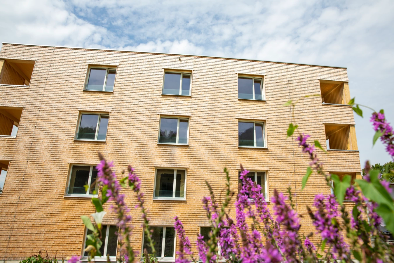 Hellbrunnenstraße (11) Hellbrunnenstraße (11)