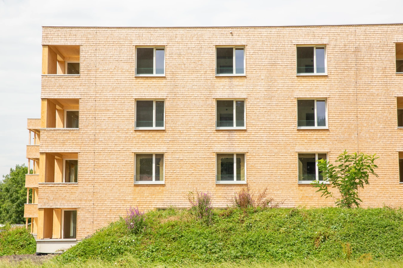 Hellbrunnenstraße (14) Hellbrunnenstraße (14)