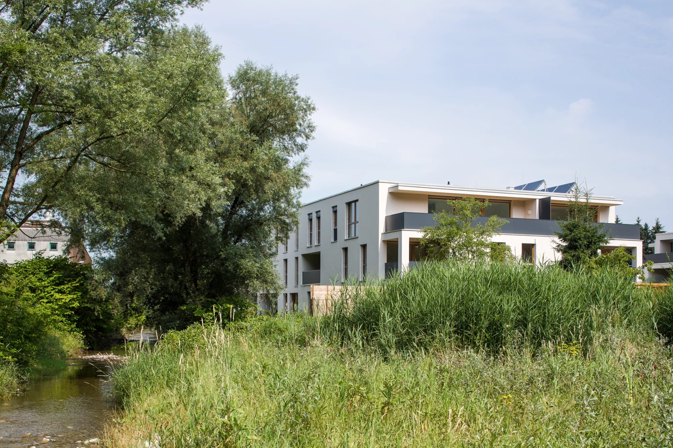 150714Kehlerau_CRwalser_027 150714Kehlerau_CRwalser_027