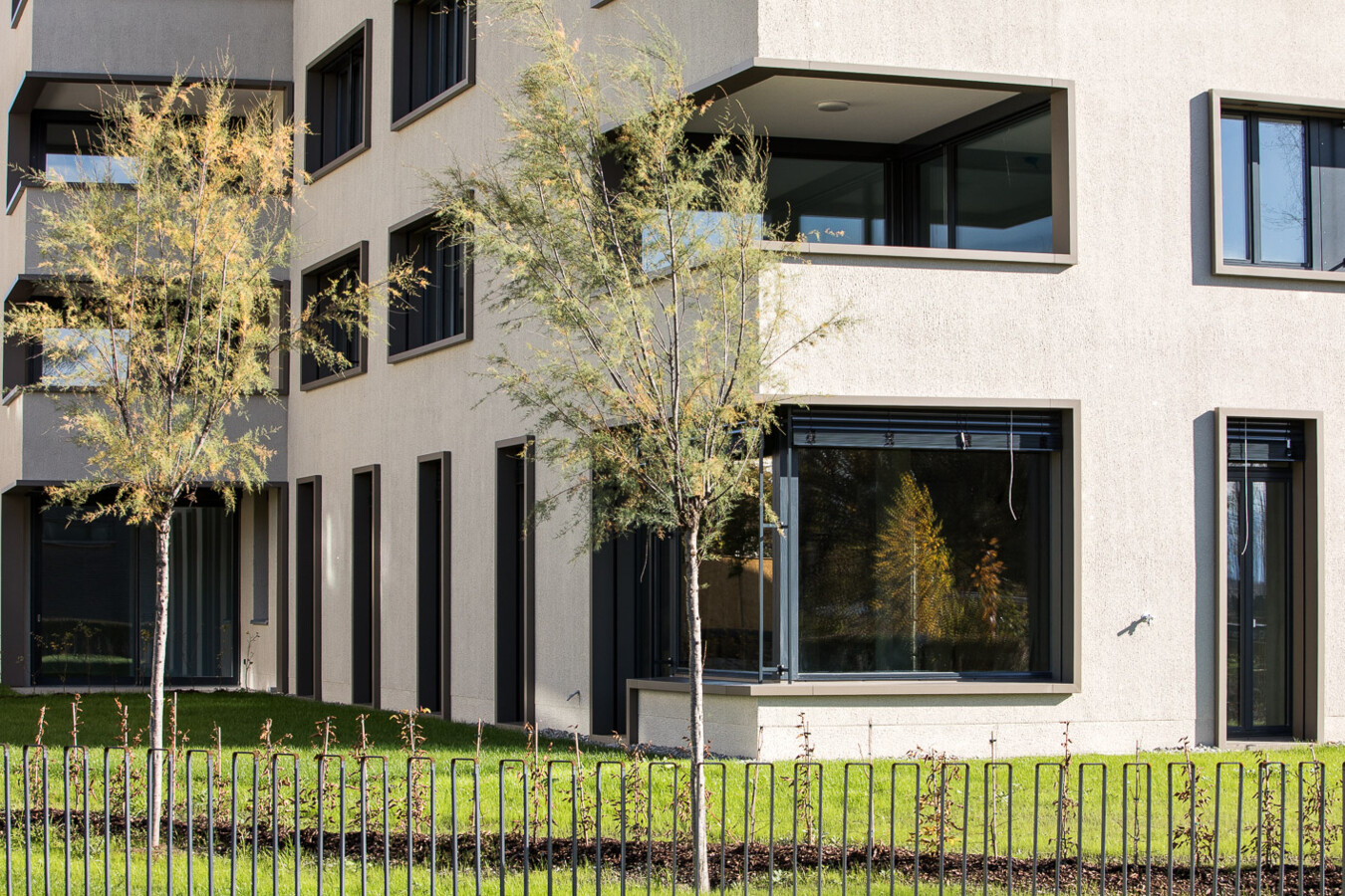 191104Baeumlequartier024 191104Baeumlequartier024