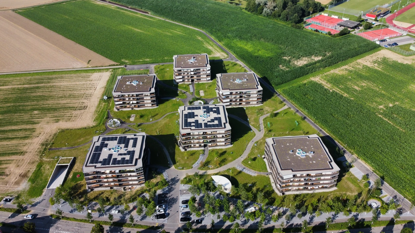 Stein Neumatt Neubau 1 Stein Neumatt Neubau 1