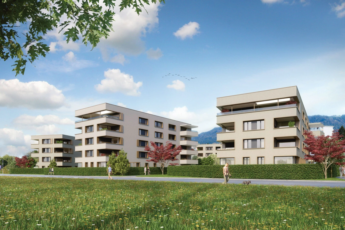 Das Bäumlequartier bietet autofreien Wohngenuss in Seenähe. Das Bäumlequartier bietet autofreien Wohngenuss in Seenähe.