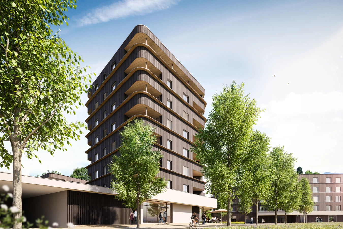 Hoch hinaus mit Holz: Für Bauherr Raiba errichtet Rhomberg Bau im Lustenauer Rheindorf auf acht Stockwerken „erstmals einen Holzbau dieser Größe unter wirtschaftlichen Bedingungen“.
