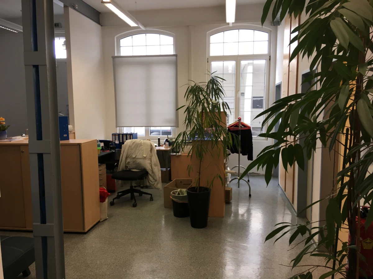 Rhomberg's Fabrik Büro mit Schreibtisch, PC, Fenstern und Pflanzen