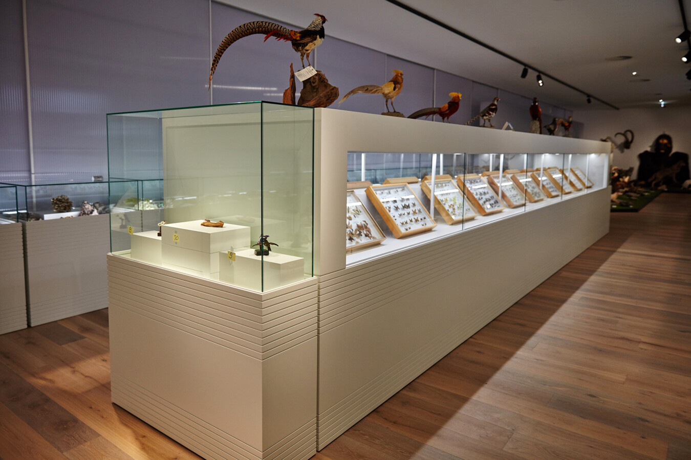 Sammlung Kunst und Kultur Hohenems Sammlung Kunst und Kultur Hohenems