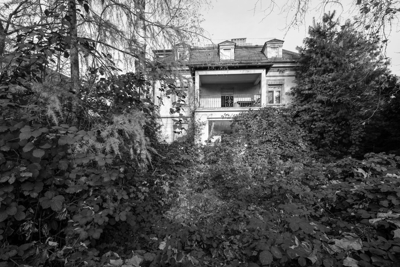 191126Villa Reichsstr_CRwalser_001 191126Villa Reichsstr_CRwalser_001