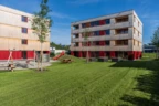Neues Wohnen in Holz, Part II: Die Wohnanlage von WS und Rhomberg Bau in der Neubaugasse, Lauterach. Foto: Roland Wehinger