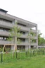 Auch Vorarlberger Privatleute bereichern den Wohnungsmarkt im Ländle: Hier die neue Anlage in der Lustenauer Blumenaustraße, in der 17 Mietparteien ein neues Zuhause gefunden haben.